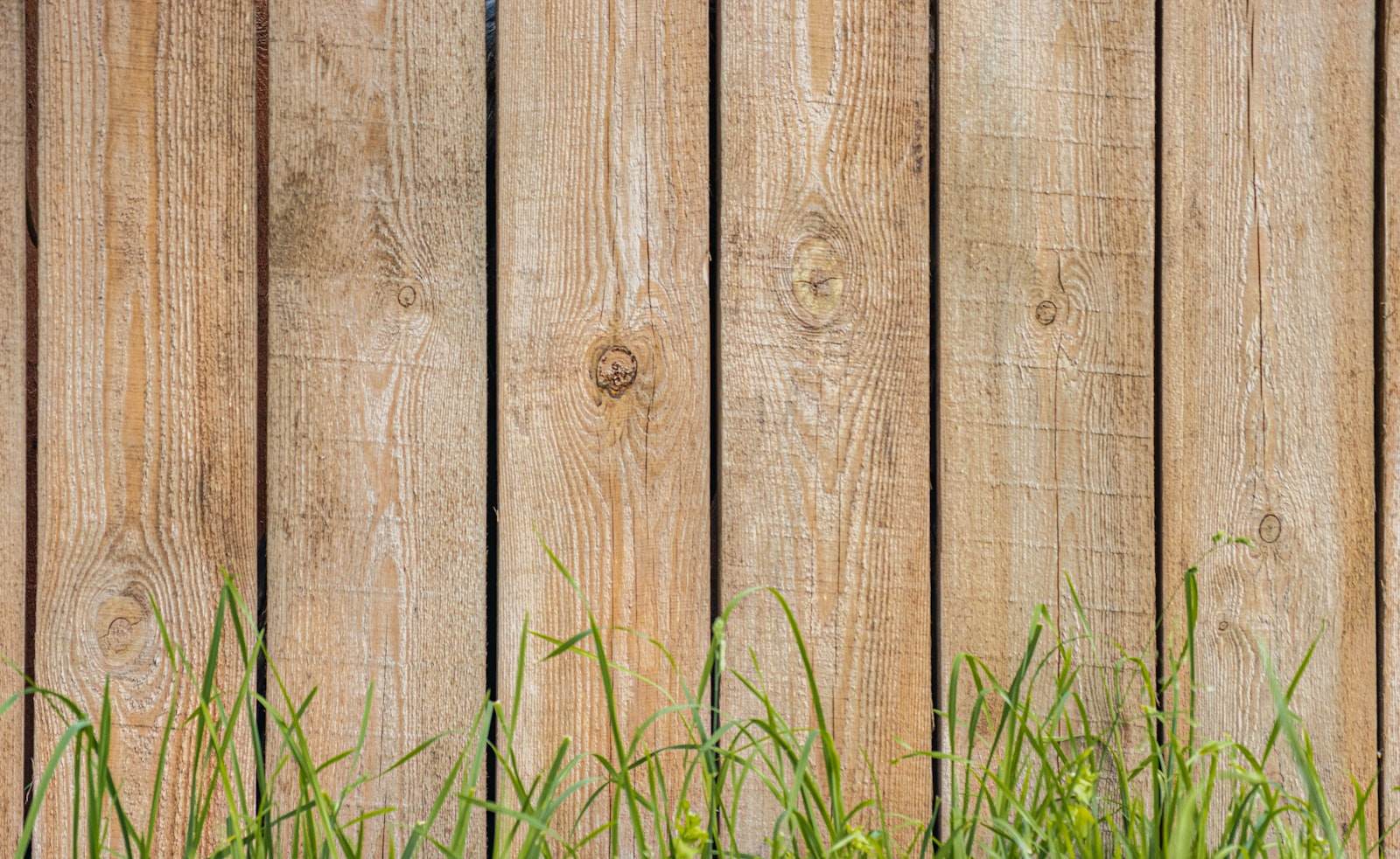 Symbolbild: Sichtschutzzaun aus Holz